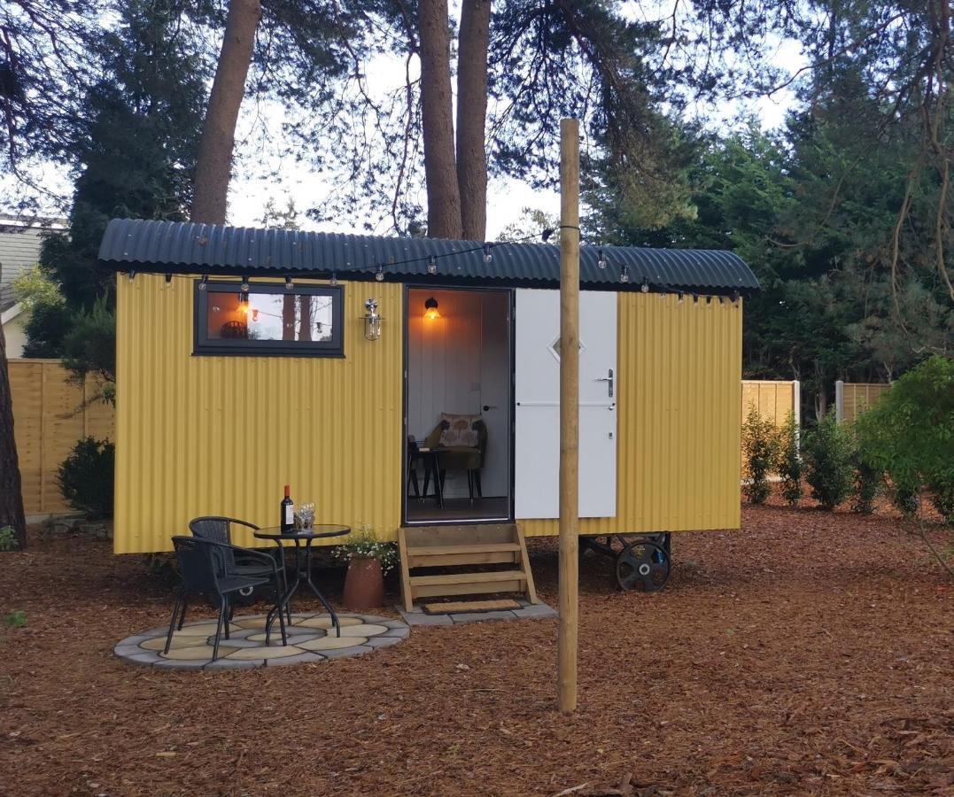 Forest Heath Shepherd'S Huts Ringwood Bagian luar foto