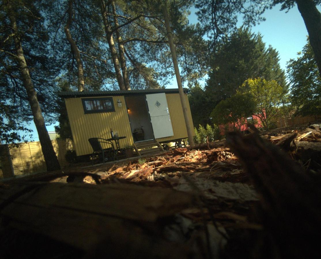 Forest Heath Shepherd'S Huts Ringwood Bagian luar foto