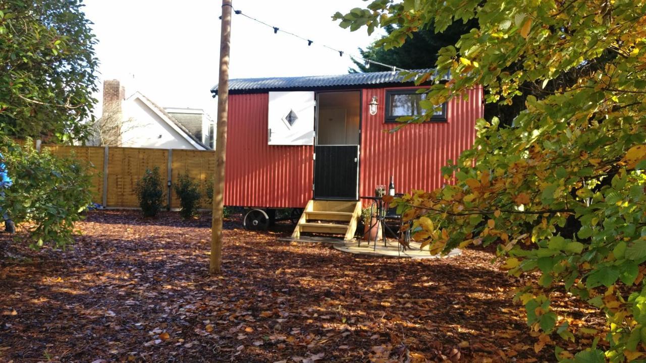 Forest Heath Shepherd'S Huts Ringwood Bagian luar foto