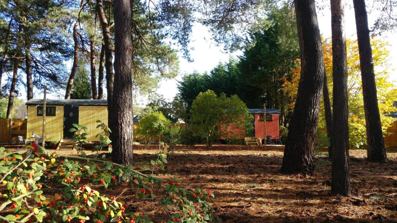 Forest Heath Shepherd'S Huts Ringwood Bagian luar foto
