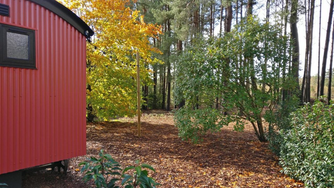 Forest Heath Shepherd'S Huts Ringwood Bagian luar foto