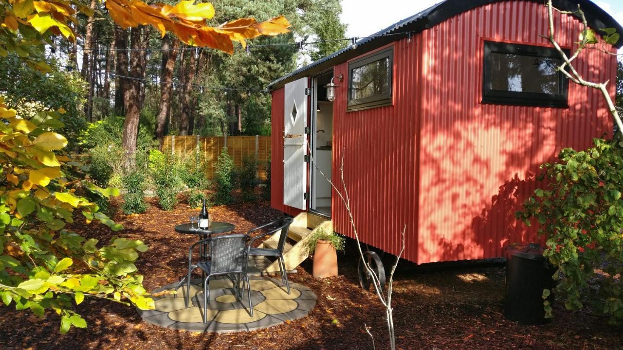 Forest Heath Shepherd'S Huts Ringwood Bagian luar foto