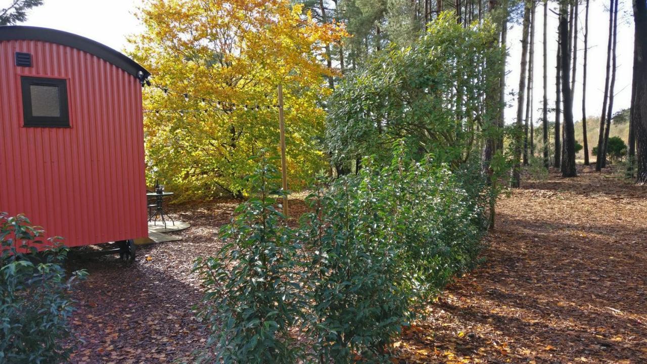 Forest Heath Shepherd'S Huts Ringwood Bagian luar foto