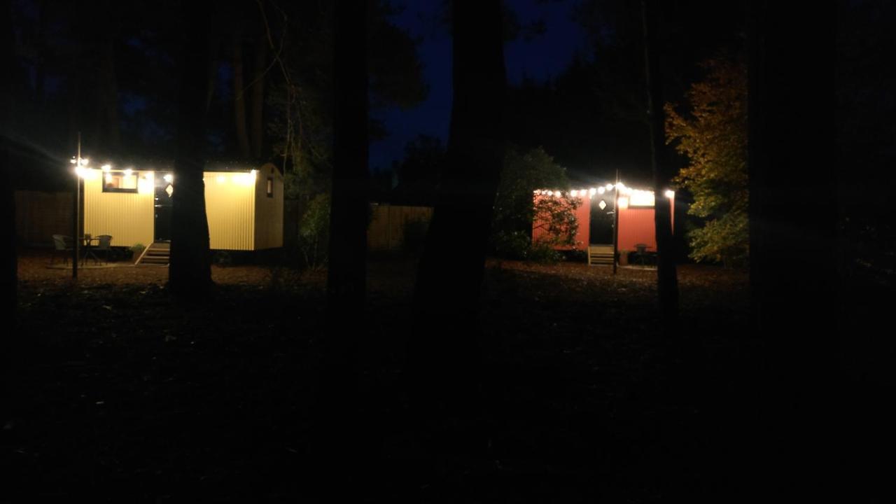 Forest Heath Shepherd'S Huts Ringwood Bagian luar foto